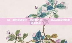 💖18. 澳甲球迷文化，支持的力量 —— 澳大利亚足球的激情与团结