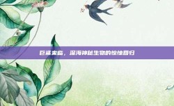 巨鲨来临，深海神秘生物的惊悚回归