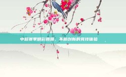 中超赛季精彩回顾，不断创新的竞技体验📸