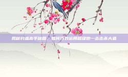 揭秘钓鱼高手秘籍，如何巧妙运用超级炮一击击杀大鱼