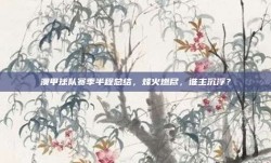 澳甲球队赛季半程总结，烽火燃尽，谁主沉浮？