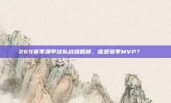 269赛季澳甲球队战绩回顾，谁是赛季MVP？🌟