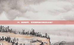 14. 新援首秀，表现如何能影响球队未来？👟