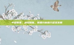 中超联赛，科技赋能，数据分析助力足球发展