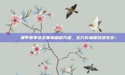 🔒 澳甲赛事安全保障措施升级，全方位确保球迷安全！