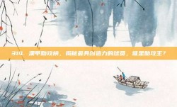 314. 澳甲助攻榜，揭秘最具创造力的球员，谁是助攻王？