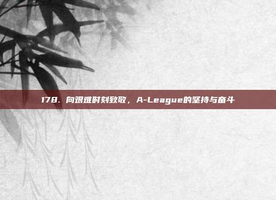 178. 向艰难时刻致敬，A-League的坚持与奋斗  第1张