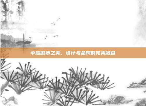 中超徽章之美，设计与品牌的完美融合  第1张