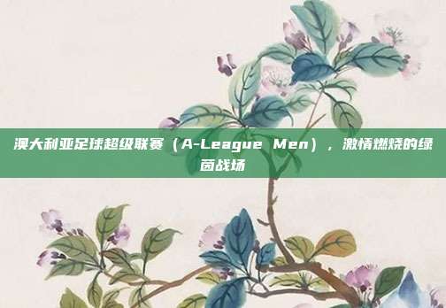 澳大利亚足球超级联赛（A-League Men），激情燃烧的绿茵战场  第1张