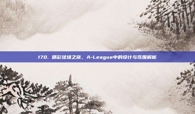 170. 精彩球场之旅，A-League中的设计与氛围解析  第1张