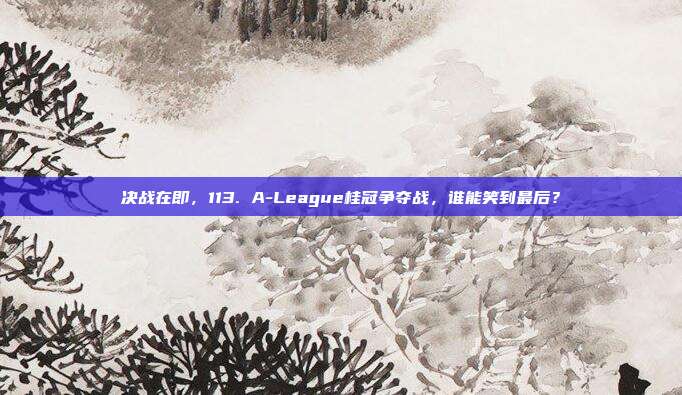 决战在即，113. A-League桂冠争夺战，谁能笑到最后？  第1张