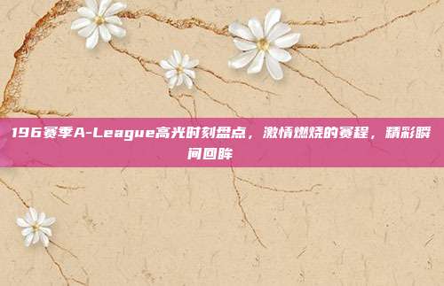 196赛季A-League高光时刻盘点，激情燃烧的赛程，精彩瞬间回眸🌟  第1张