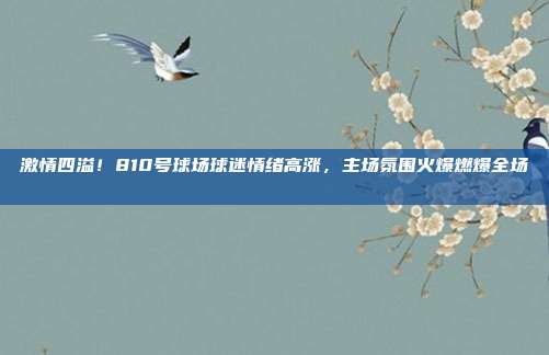 激情四溢！810号球场球迷情绪高涨，主场氛围火爆燃爆全场 🎊💚  第1张