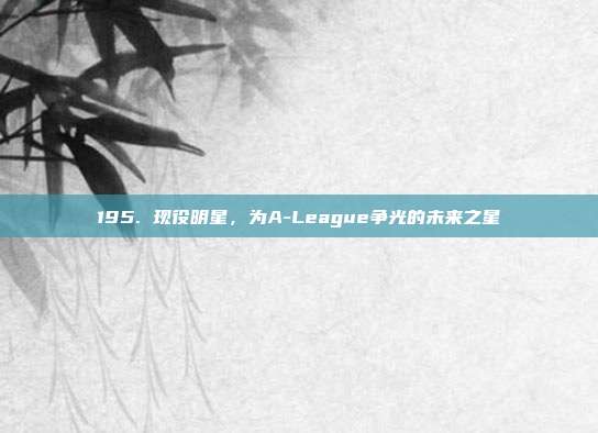 195. 现役明星，为A-League争光的未来之星  第1张