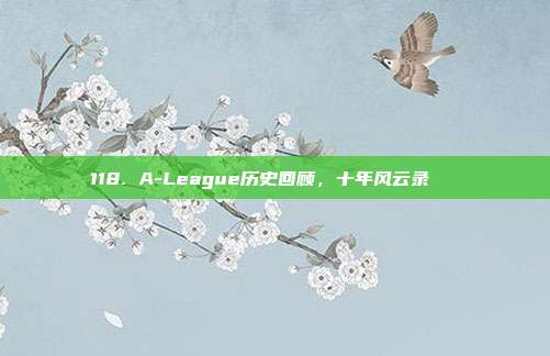 118. A-League历史回顾，十年风云录📖  第1张