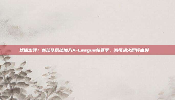 球迷欢呼！新球队震撼加入A-League新赛季，激情战火即将点燃🎉  第1张