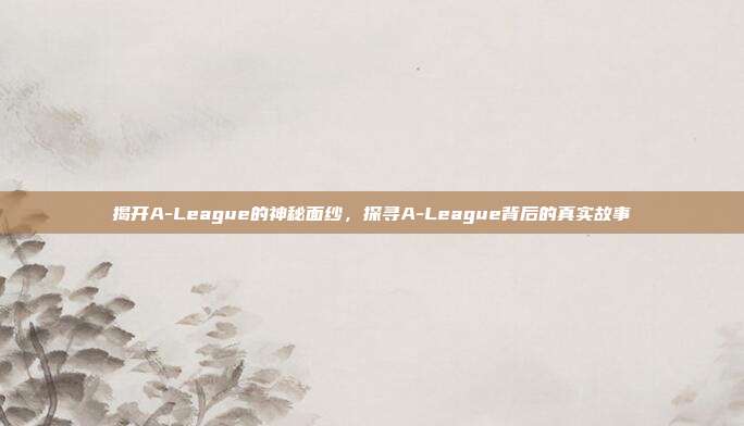 揭开A-League的神秘面纱，探寻A-League背后的真实故事  第1张